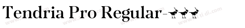 Tendria Pro Regular字体转换 Tendria Pro Regular字体转换